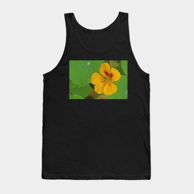 Nasturtium Tank Top by EileenMcVey